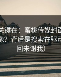 真正的关键在：蜜桃传媒封面为什么越来越像？背后是搜索在驱动（你会回来谢我）