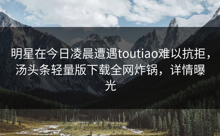 明星在今日凌晨遭遇toutiao难以抗拒，汤头条轻量版下载全网炸锅，详情曝光