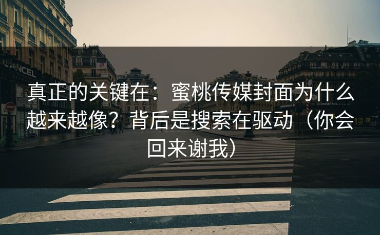 真正的关键在：蜜桃传媒封面为什么越来越像？背后是搜索在驱动（你会回来谢我）